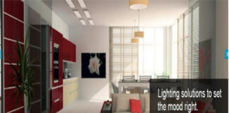 Home appliances, LED bulbs key focus area for CGCEL