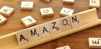 Amazon reports 37 pc growth in sales, expects bumper holiday season