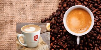 Coffee Day Enterprises shares nosedives over 19%